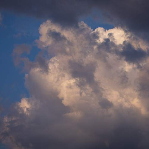 Photo #13756880