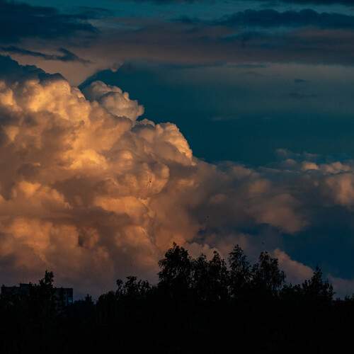 Photo #13756887