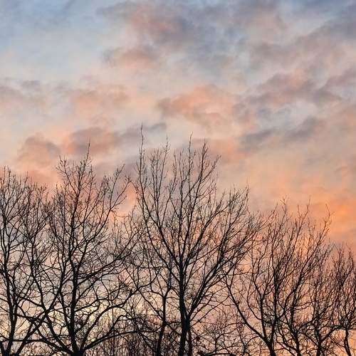 Photo #13756938