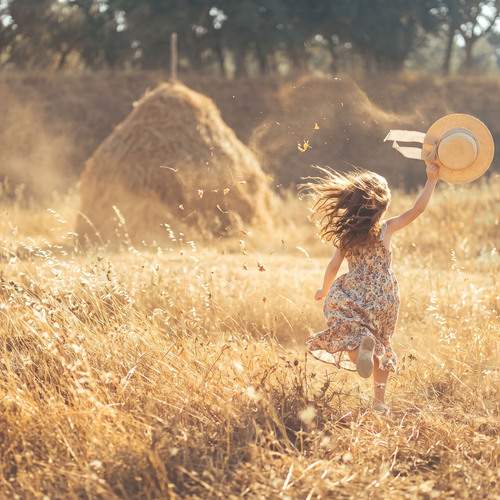 Photo #13757004