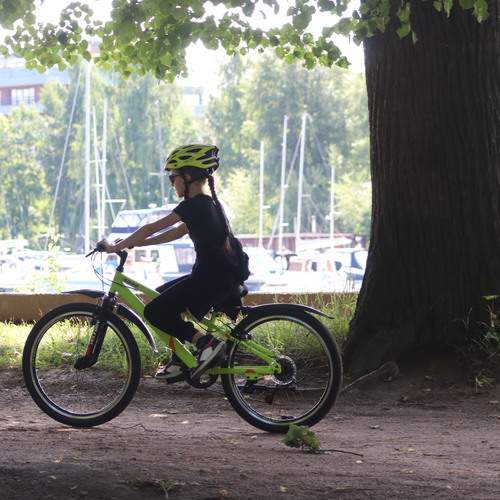 Photo #13757064