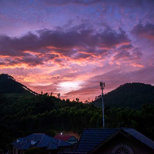 Photo #13757098