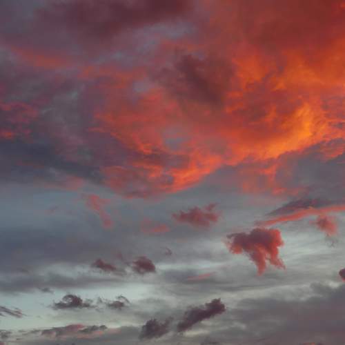Photo #13757148