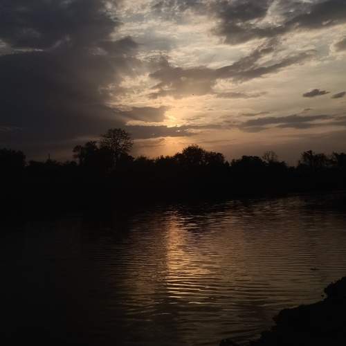 Photo #13757185