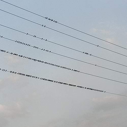 Photo #13757189