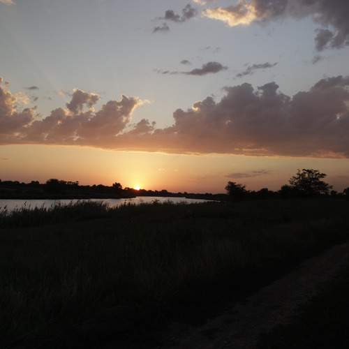 Photo #13757232