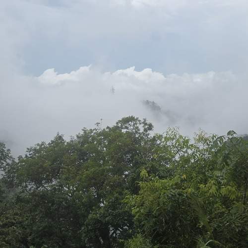 Photo #13757303