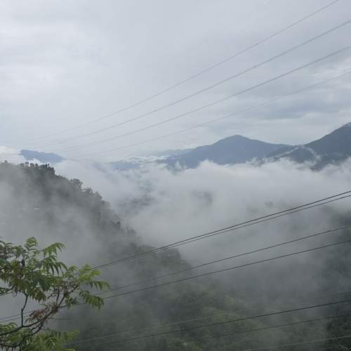 Photo #13757304