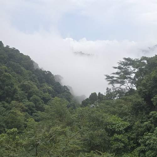 Photo #13757305