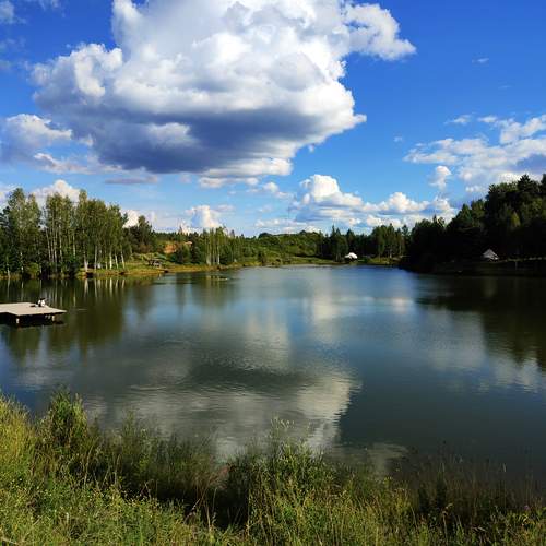 Photo #13757312