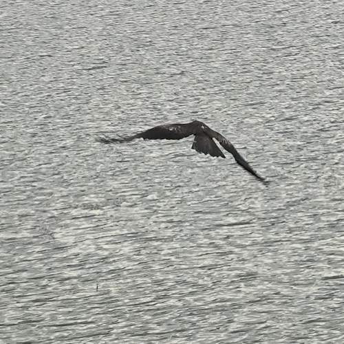 Photo #13757319