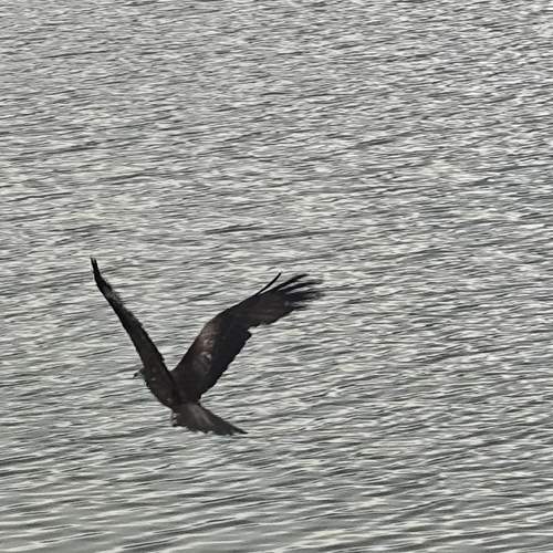 Photo #13757322
