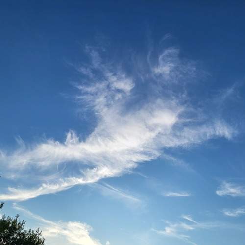 Photo #13757334