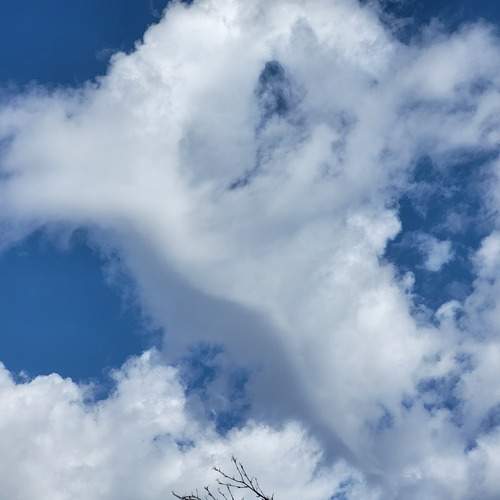 Photo #13757341