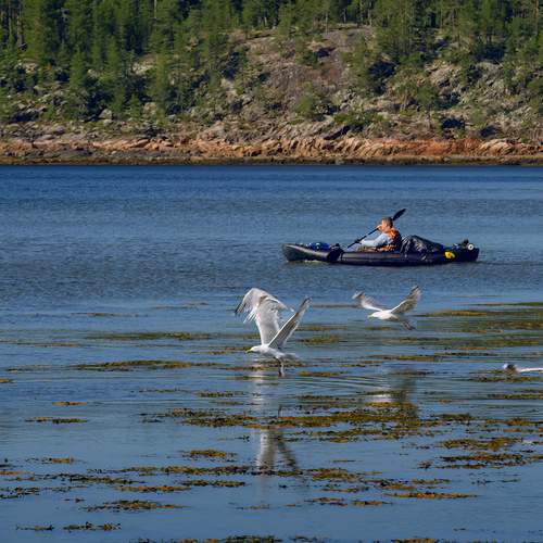 Photo #13757370
