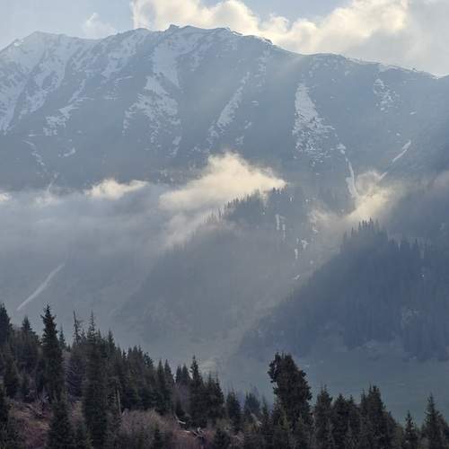Photo #13757413