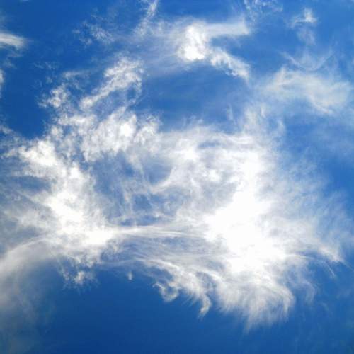 Photo #13757448