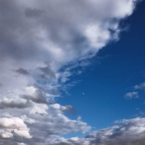 Photo #13757454