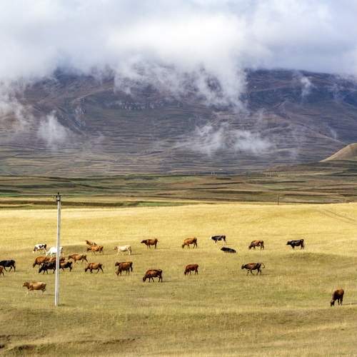 Photo #13757467