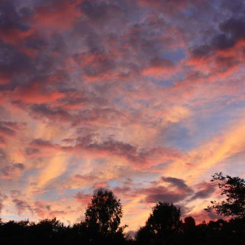 Photo #13757499