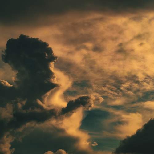 Photo #13757518