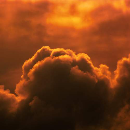 Photo #13757519