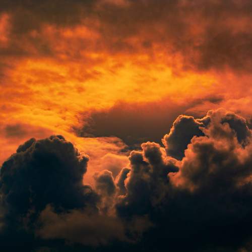 Photo #13757520