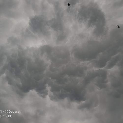 Photo #13757526