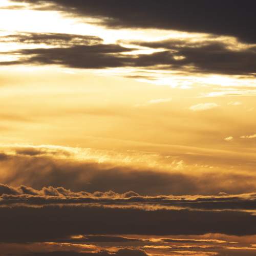 Photo #13757611