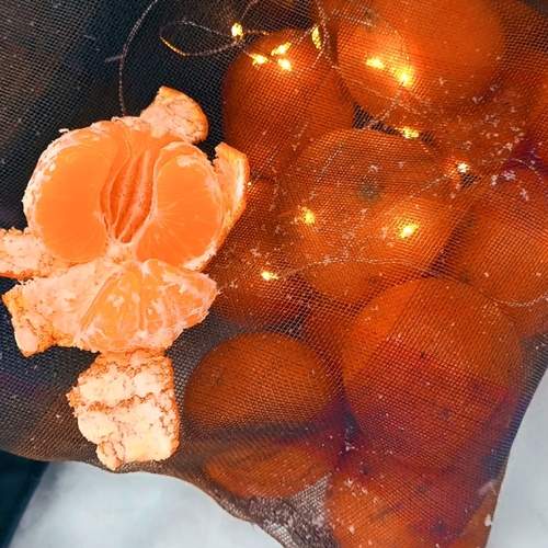 Photo #13757616
