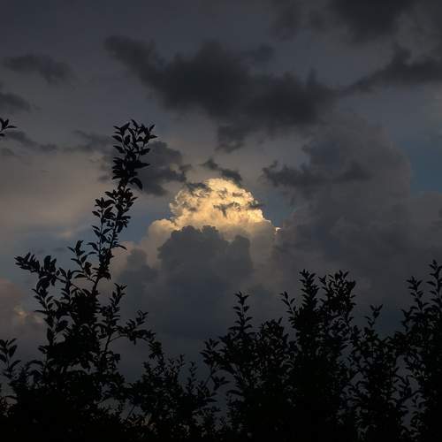 Photo #13757624