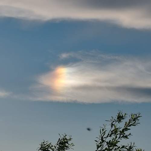 Photo #13757654