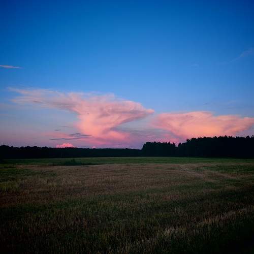Photo #13757655