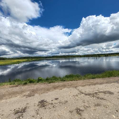 Photo #13757656