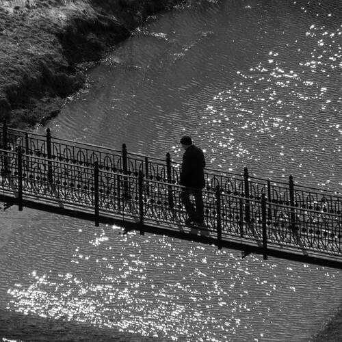 Photo #13757684