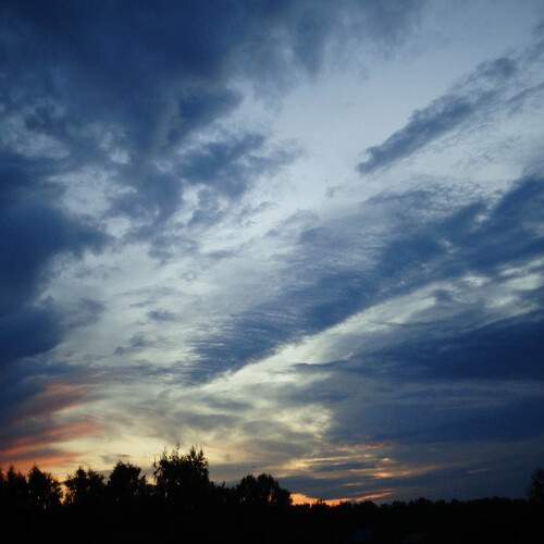 Photo #13757686