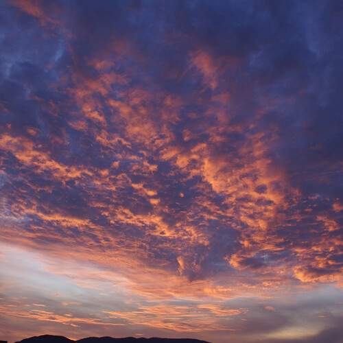 Photo #13757687