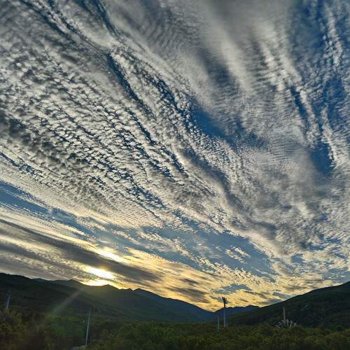 Photo #13757688