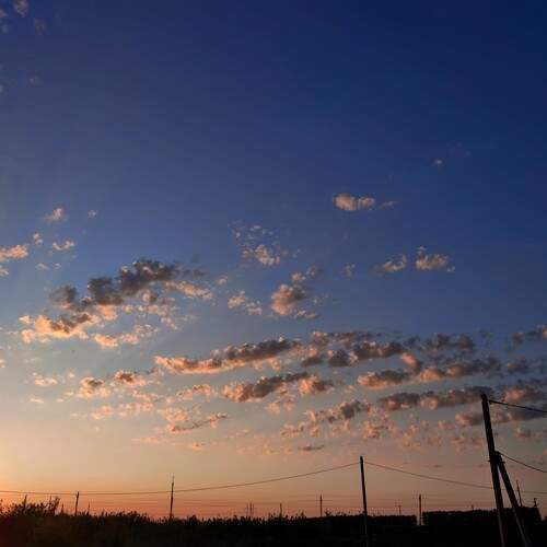 Photo #13757690