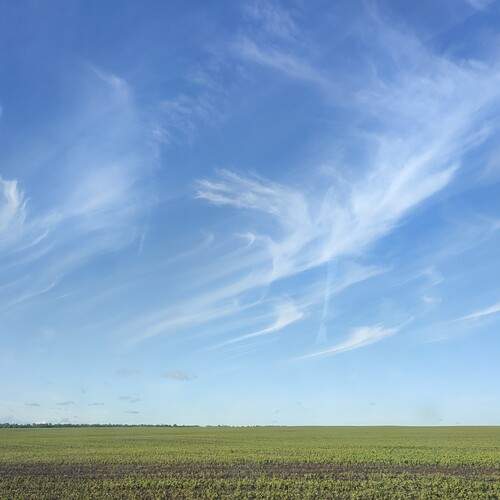 Photo #13757695