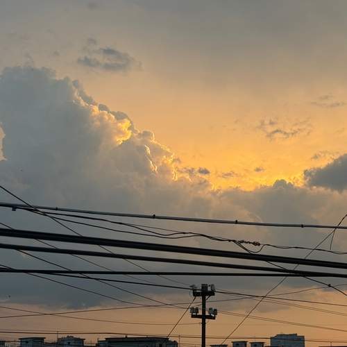 Photo #13757704