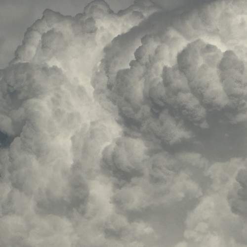 Photo #13757791