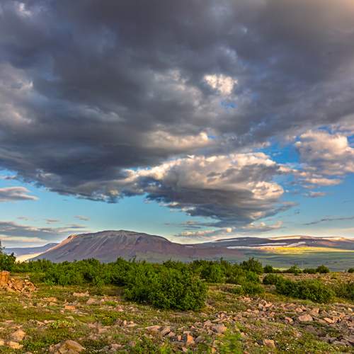 Photo #13757816