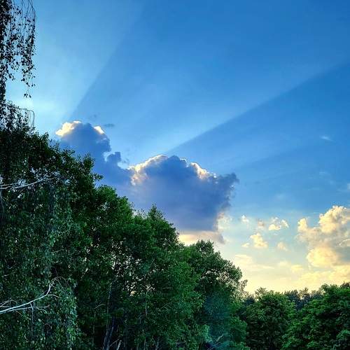 Photo #13757829
