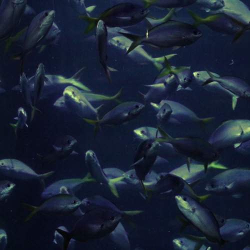 Photo #13757832
