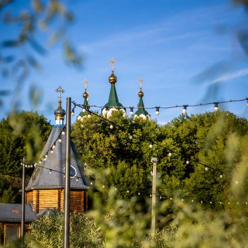 Photo #13757901