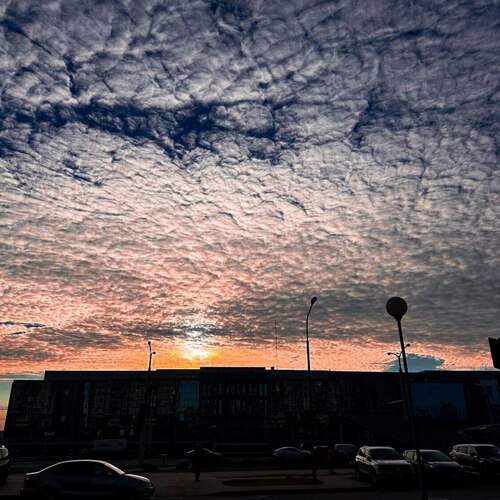 Photo #13757935
