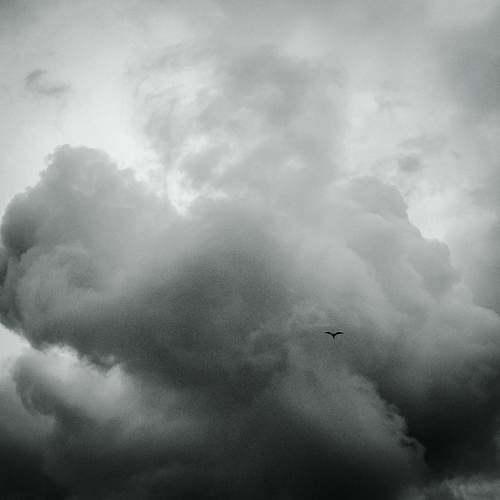 Photo #13757950
