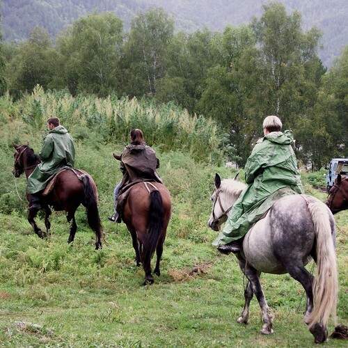 Photo #13757994