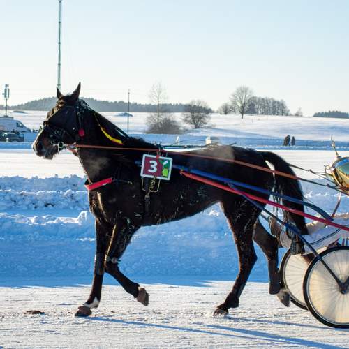 Photo #13758051